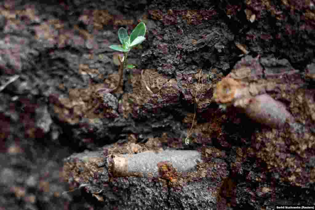 Використаний патрон в окопі на передовій