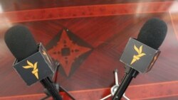 ازادي میلمه: ځوان ژورنالست نصیب الله لایق ازادي میلمه: ځوان ژورنالست نصیب الله لایق