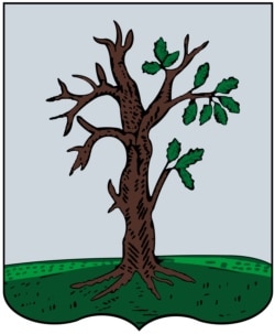 Герб міста Стародуба, який був створений на основі герба 1620 року і герба Стародубського полку. Стародуб – історичний центр історико-етнографічної землі Стародубщина, центр одного з 10 адміністративних полків Гетьманщини і єдиний – поза межами сучасної України