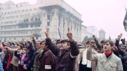 Девяностый год: революция? Девяностый год: революция?