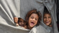 د ماشومانو نړیواله ورځ: پښتونخوا کې بېوزلۍ ګڼ ماشومان مزدورۍ ته اړ کړي د ماشومانو نړیواله ورځ: پښتونخوا کې بېوزلۍ ګڼ ماشومان مزدورۍ ته اړ کړي