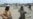 Pakistan Claims 60 Militants Killed In Waziristan Offensive