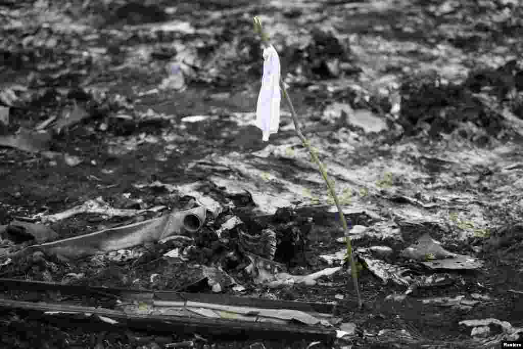 A white flag marks the location of the remnants of a body at a crash site on July 18. 