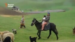 Мушоҳидаи се баҳор дар як фасл Мушоҳидаи се баҳор дар як фасл