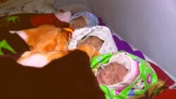 Шикояти волидони сегоник дар Кӯлоб Шикояти волидони сегоник дар Кӯлоб