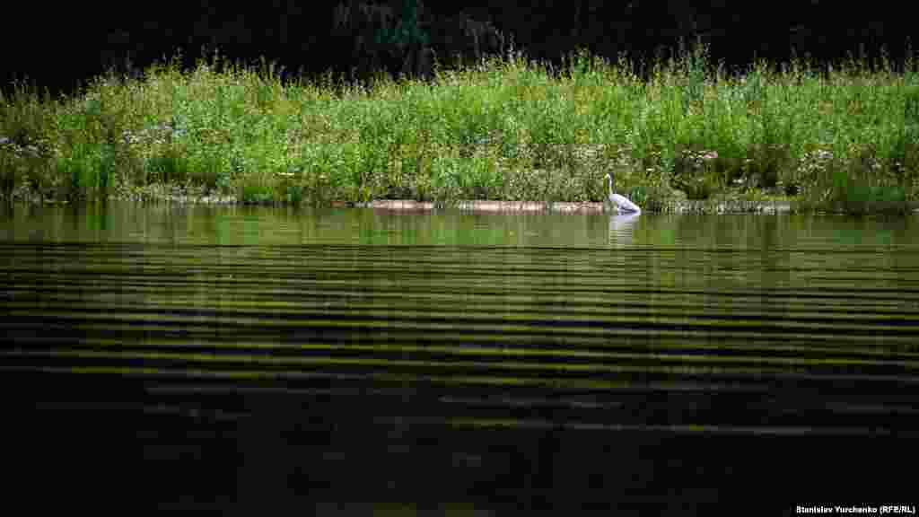 Штиль на Десні