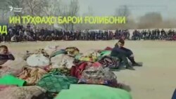 Наврӯзи Палдорак Наврӯзи Палдорак