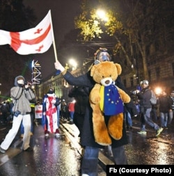 ნანა (ნანუ) სანდერი საპროტესტო აქციაზე