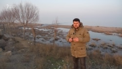 Як ҷуфтро барои қатли зани ҷавоне дар Суғд дастгир карданд Як ҷуфтро барои қатли зани ҷавоне дар Суғд дастгир карданд