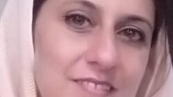 د شازیه حنا ژوند او کار