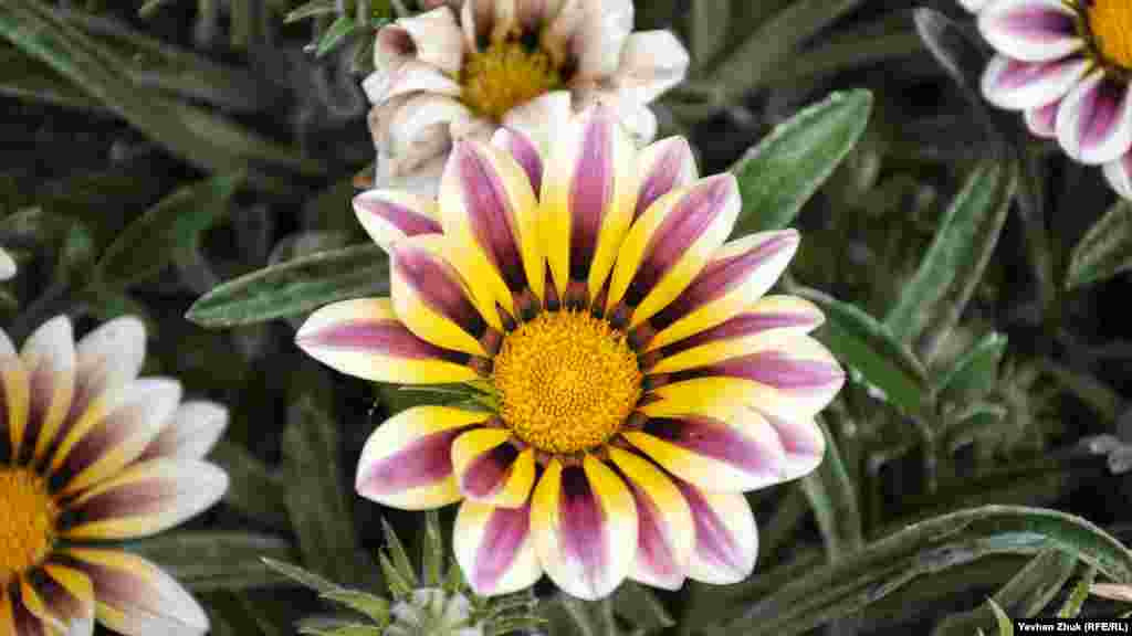 А это – газания