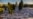 16x9 Image