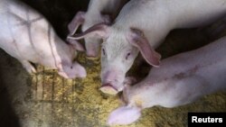 "Война на трупове" предизвика главния прокурор да разпореди проверка по случая