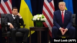 Владимир Зеленский ва Доналд Трамп