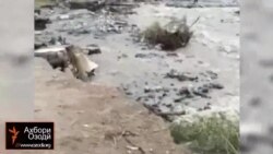 Сел мунҷар ба ҳалокати инсонҳо шуд Сел мунҷар ба ҳалокати инсонҳо шуд