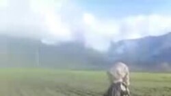 "Кишти пиёзро вайрон карда, дастур доданд, ки картошка корам" "Кишти пиёзро вайрон карда, дастур доданд, ки картошка корам"