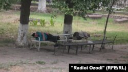 Афроди беманзил ё ба қавле "бомж"-ҳо дар шаҳри Қӯрғонтеппа