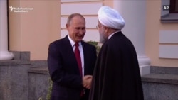 Putin Calls For Syrian 'Dialogue' In Sochi Putin Calls For Syrian 'Dialogue' In Sochi