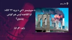 تر القاعدې وروسته پیدا شوې وسلوالې ډلې نړیوال امنیت څنګه ګواښي؟ تر القاعدې وروسته پیدا شوې وسلوالې ډلې نړیوال امنیت څنګه ګواښي؟