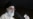 Supreme Leader Urges Iranians To Resist Threats