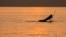 HUNGARY A person paddles an SUP Board during sunset at the Lake Balaton in Fonyod, July 27, 2021