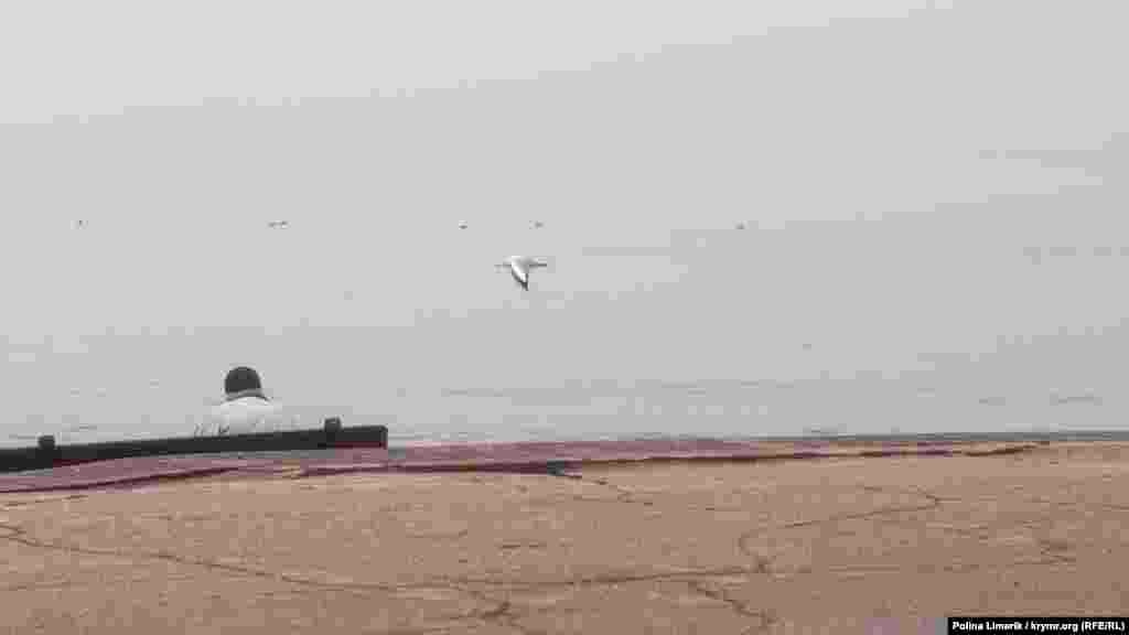 «Старий і море» по-феодосійськи