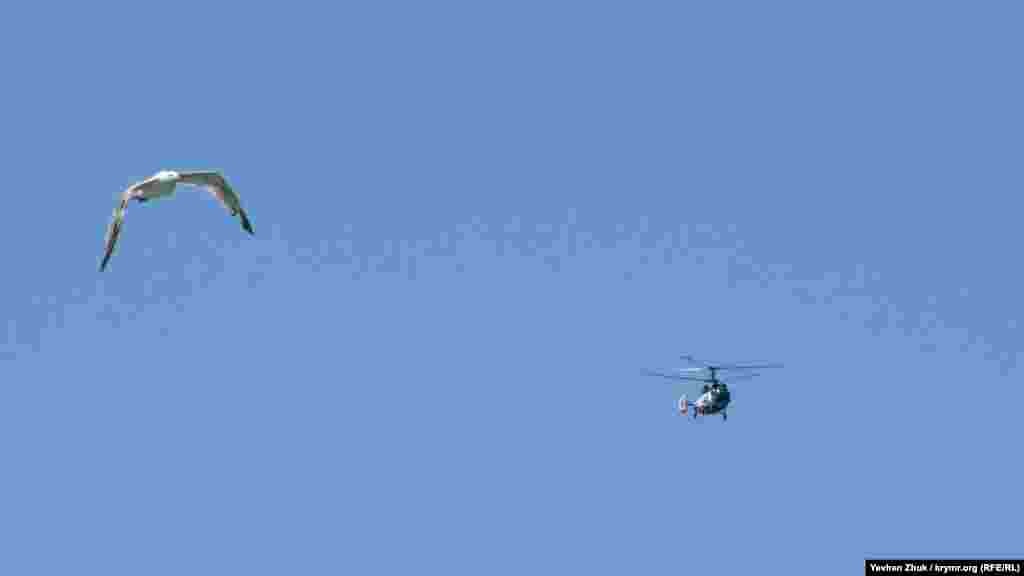 Ця чайка «змагається» з гелікоптером, що пролітає над морем 