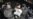 16x9 Image