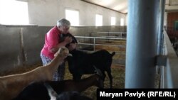 Лариса з евакуйованими козами