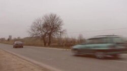 Дар Данғара соҳибони харҳои бесоҳиб муҷозот шуданд Дар Данғара соҳибони харҳои бесоҳиб муҷозот шуданд