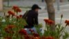 Migrant in Montenegro, protected identity