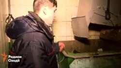 Зане, ки тифли навзодашро ба ахлот партофта буд, боздошт шудааст. Зане, ки тифли навзодашро ба ахлот партофта буд, боздошт шудааст.