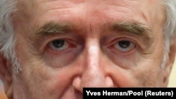 Radovan Karadžić u haškoj sudnici 24.aprila 2018.