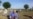 Activists Held Over Uzbek Child Workers
