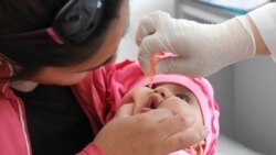 Хуруҷи сурхакон дар Тоҷикистон Хуруҷи сурхакон дар Тоҷикистон