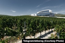 За виноробнею «Скелястий берег» стоять бізнес-структури, пов’язані з родиною Дмитра Медведєва