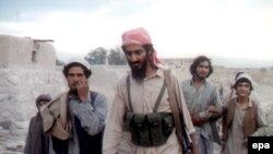 Although Pakistan's Inter-Services Intelligence Directorate has helped terrorists in the past, protecting Osama bin Laden would have not have been in the country's national interest.