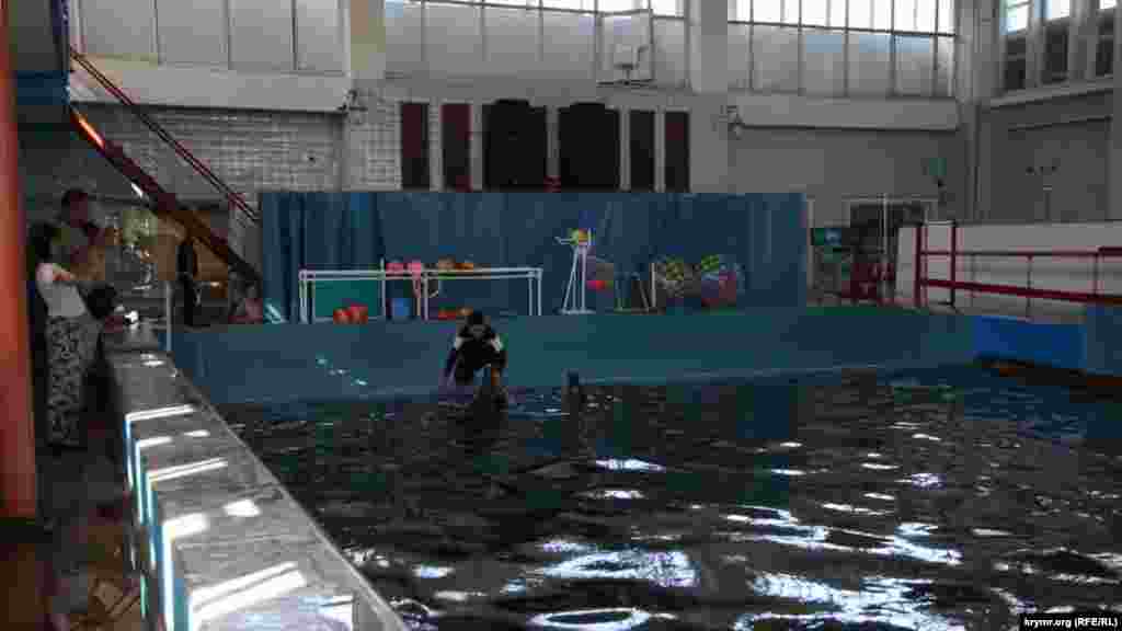 Зараз у дельфінарії проводяться дів вистави на день, о 11 й о 15 годині. З дорослого візьмуть 400 рублів (150 гривень), з дитини (від 7 до 14 років) 200 рублів (75 гривень). Фото з дельфіном обійдеться в 300 рублів (112 гривень), 5 хвилин плавання – в 2,5 тисячі (940 гривень)