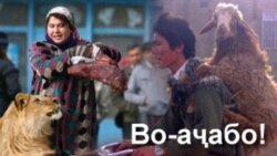 Хандаҳои гиряолуд. Ёде аз Имомназари Холназар Хандаҳои гиряолуд. Ёде аз Имомназари Холназар
