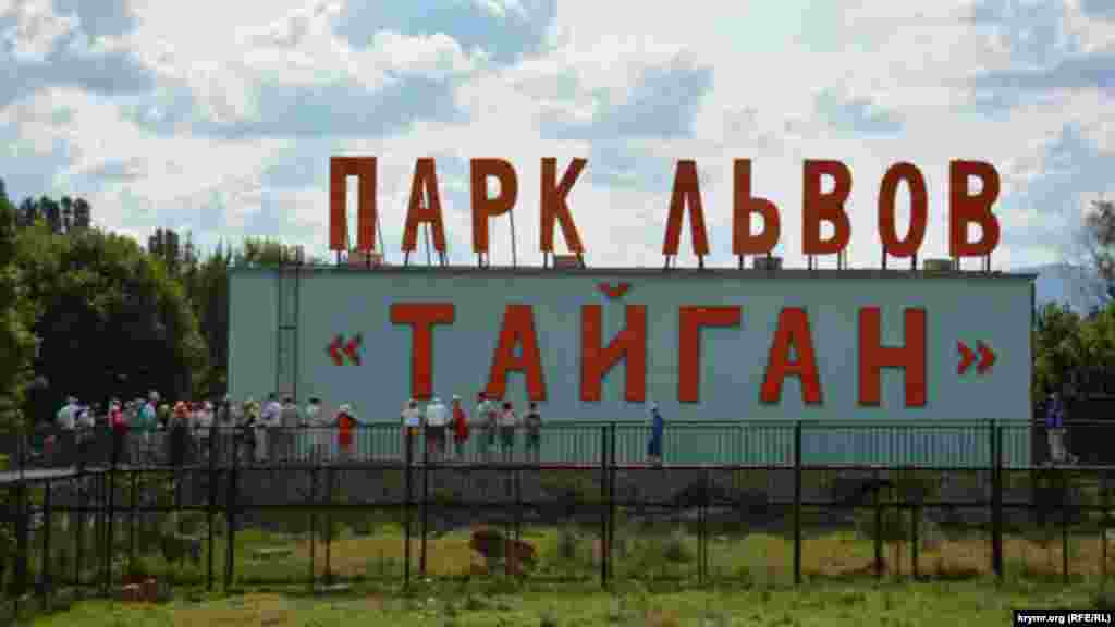 Сафари-парк «Тайган» становится все более популярным местом даже среди знаменитостей