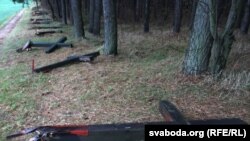 Interior Ministry officials said a criminal case had not yet been launched.