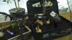 Кто такой народ и зачем ему власть Кто такой народ и зачем ему власть