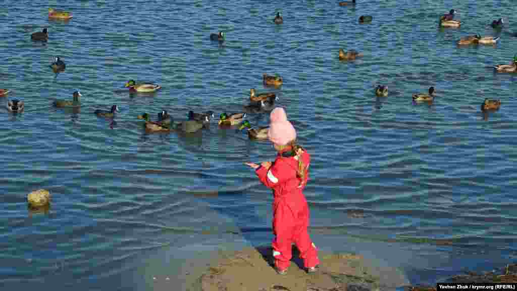 На долоньці дівчинки – ласощі для птахів