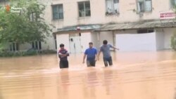 Гуфтанд, гурезед, ки сел меояд Гуфтанд, гурезед, ки сел меояд