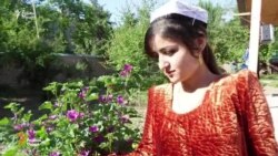 Баҳси маргбори бакорат ба додгоҳ рафт. Баҳси маргбори бакорат ба додгоҳ рафт.