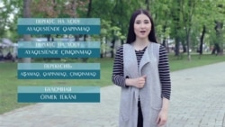 Видеоуроки «Elifbe». Перекус (видео) Видеоуроки «Elifbe». Перекус (видео)