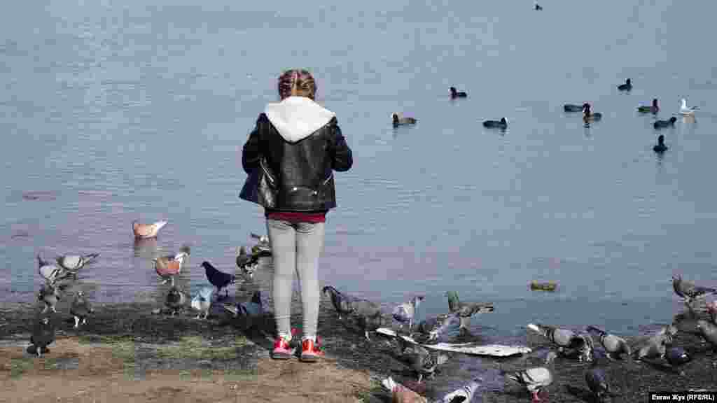 Дівчинка годує голубів та качок 