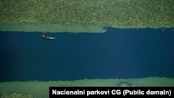 Skadarsko jezero, jedan od pet Nacionalnih parkova u Crnoj Gori