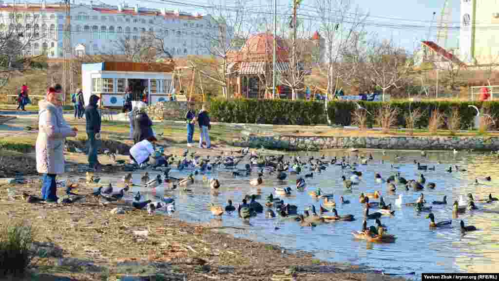 Біля входу на пляж «Омега» утворився справжній пташиний базар