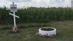 Шоҳидон дар бораи суқути ҳавопаймои МН-17 Шоҳидон дар бораи суқути ҳавопаймои МН-17